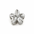 Silver Hair Clip