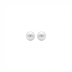 Pearl Stud Earrings