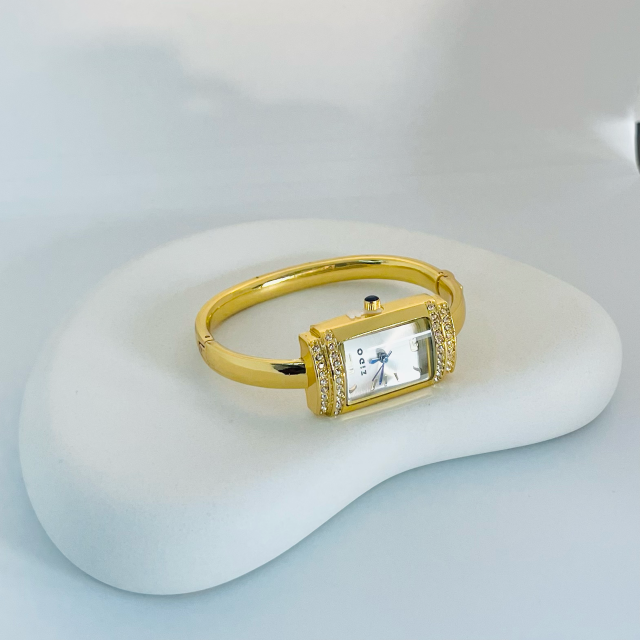 Silver Dial Stone Watch